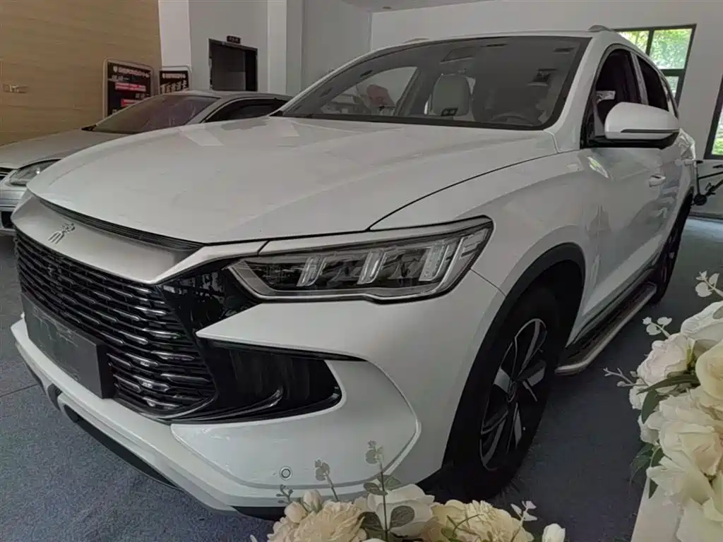 BYD Pro New Energy 2024
