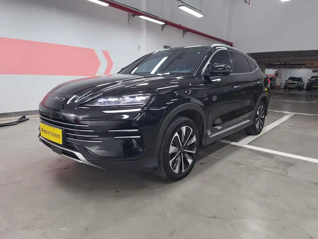 BYD PLUS New Energy 2025