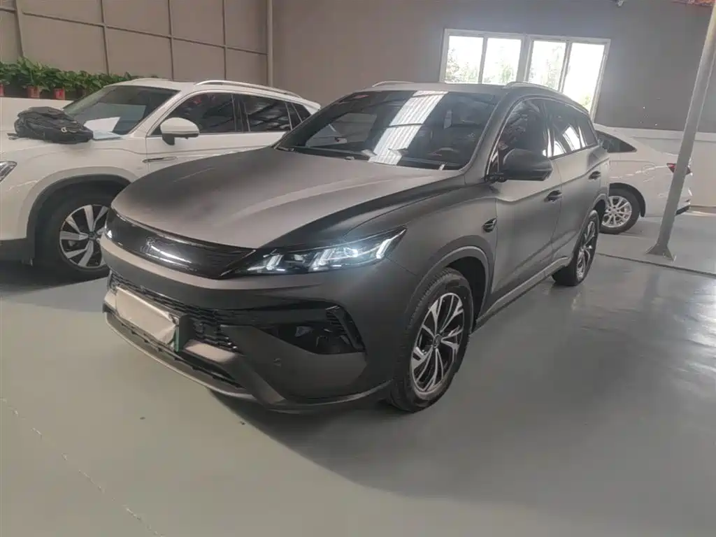 BYD Pro New Energy 2025