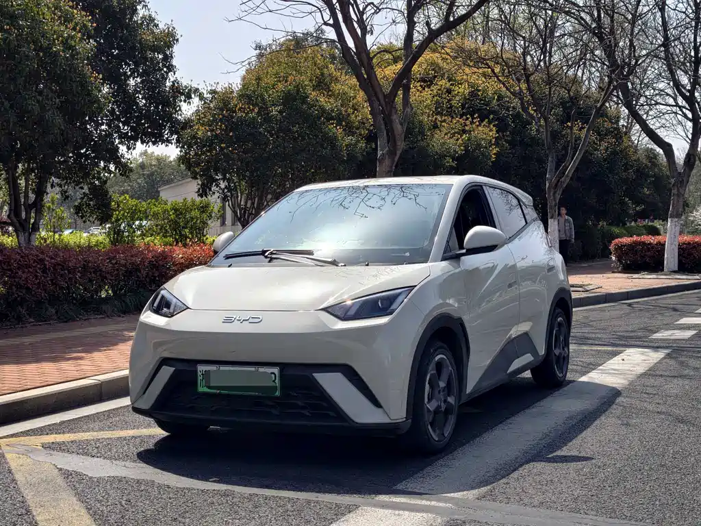 BYD Seagull 2024