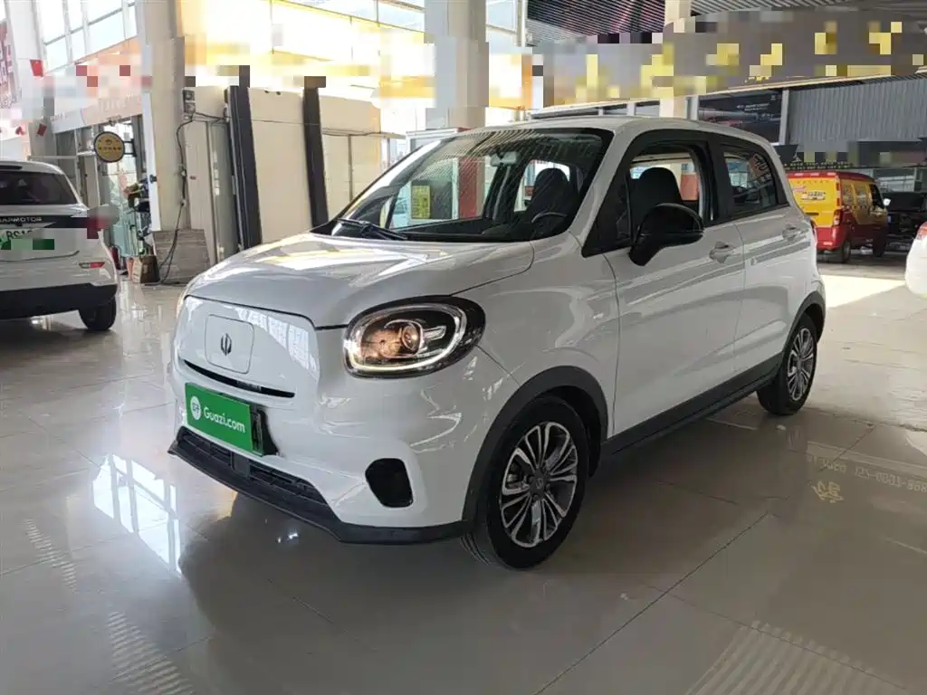 Leapmotor Leapmotor T03 2021