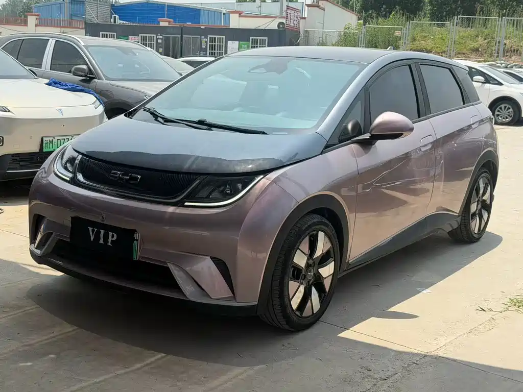 BYD Dolphin 2022