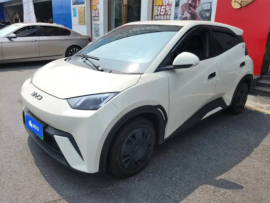 BYD Seagull 2024