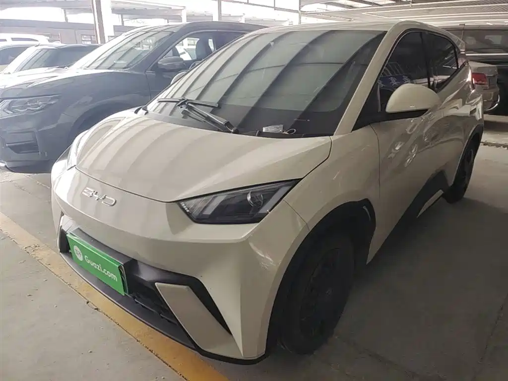 BYD Seagull 2024