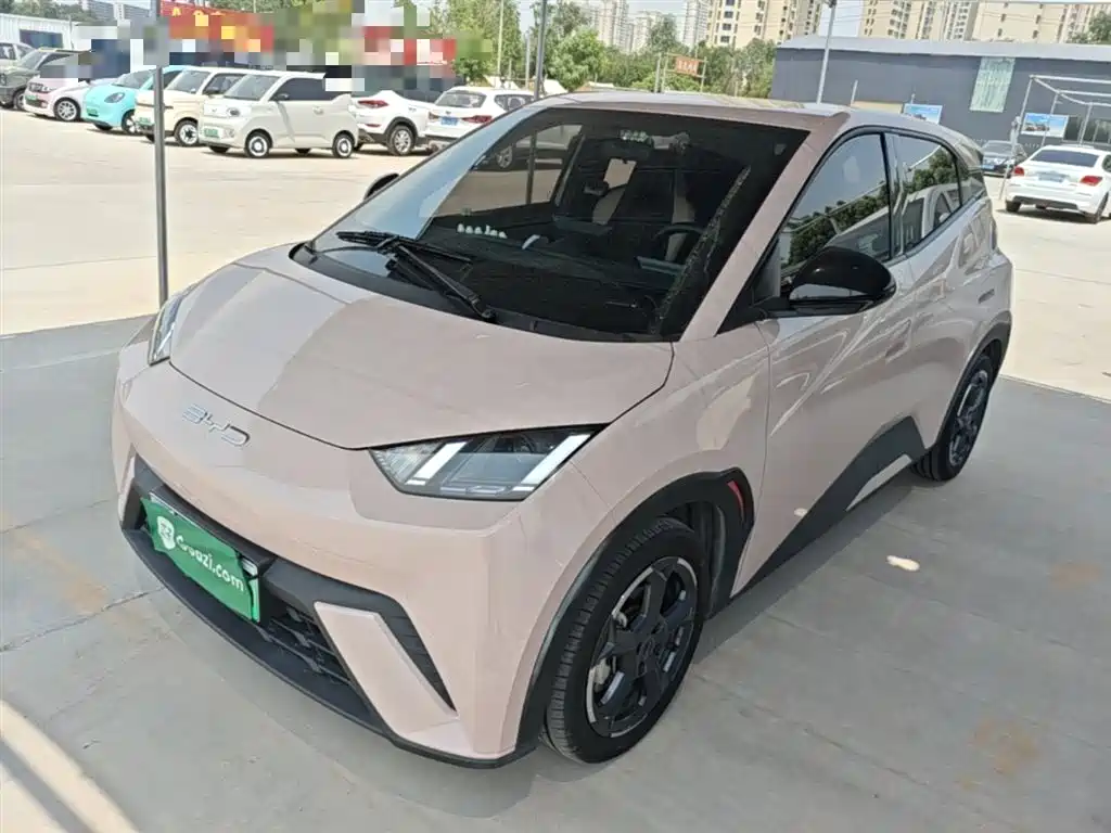 BYD Seagull 2024
