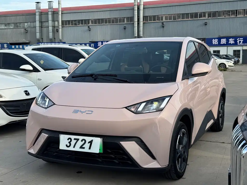BYD Seagull 2024