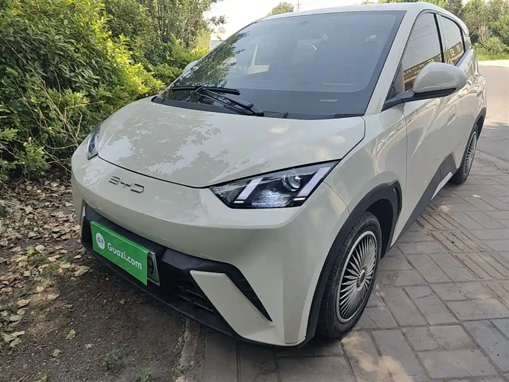 BYD Seagull 2024