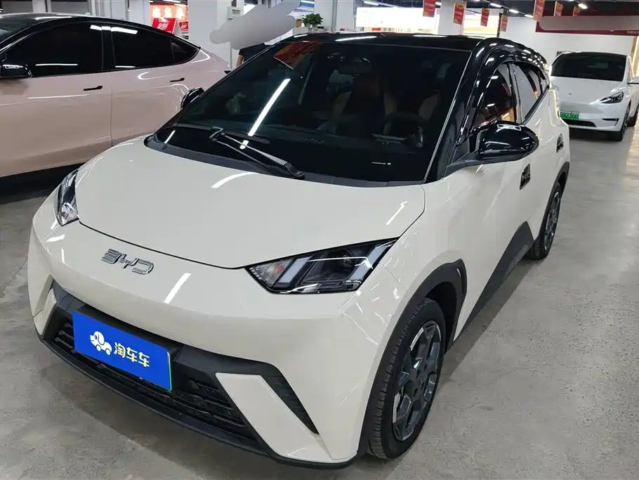 BYD Seagull 2024