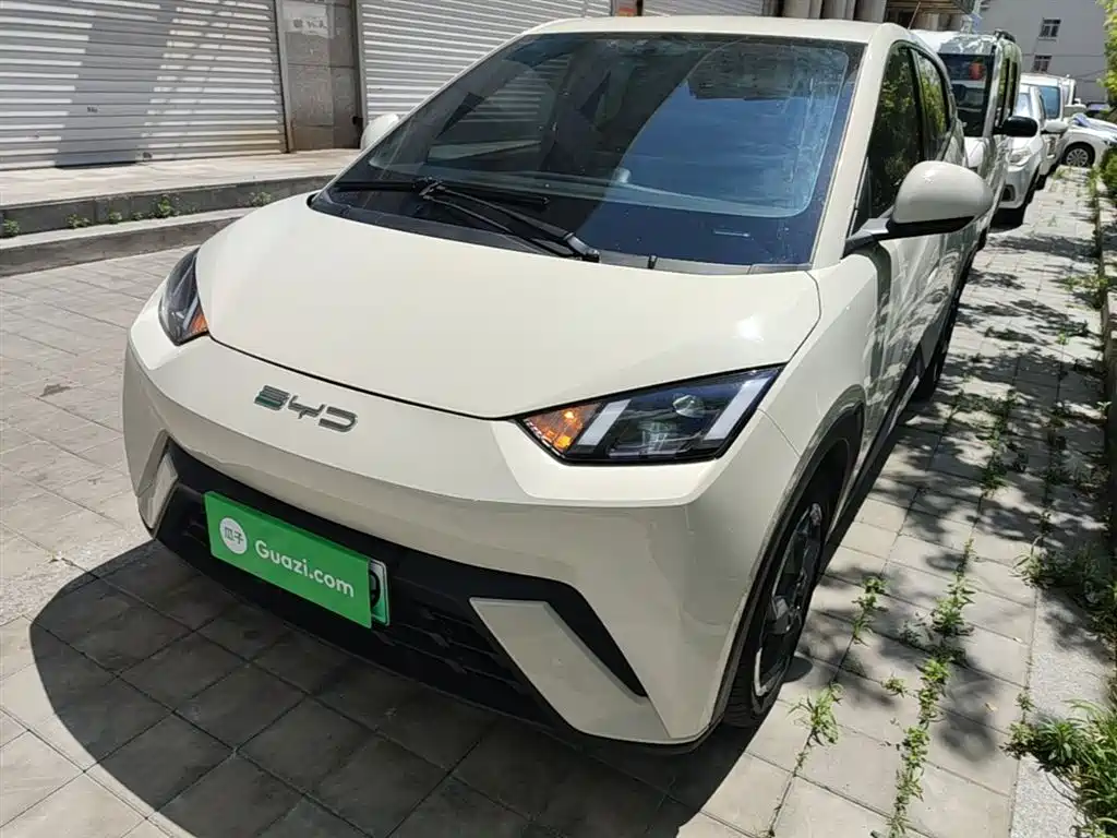 BYD Seagull 2024