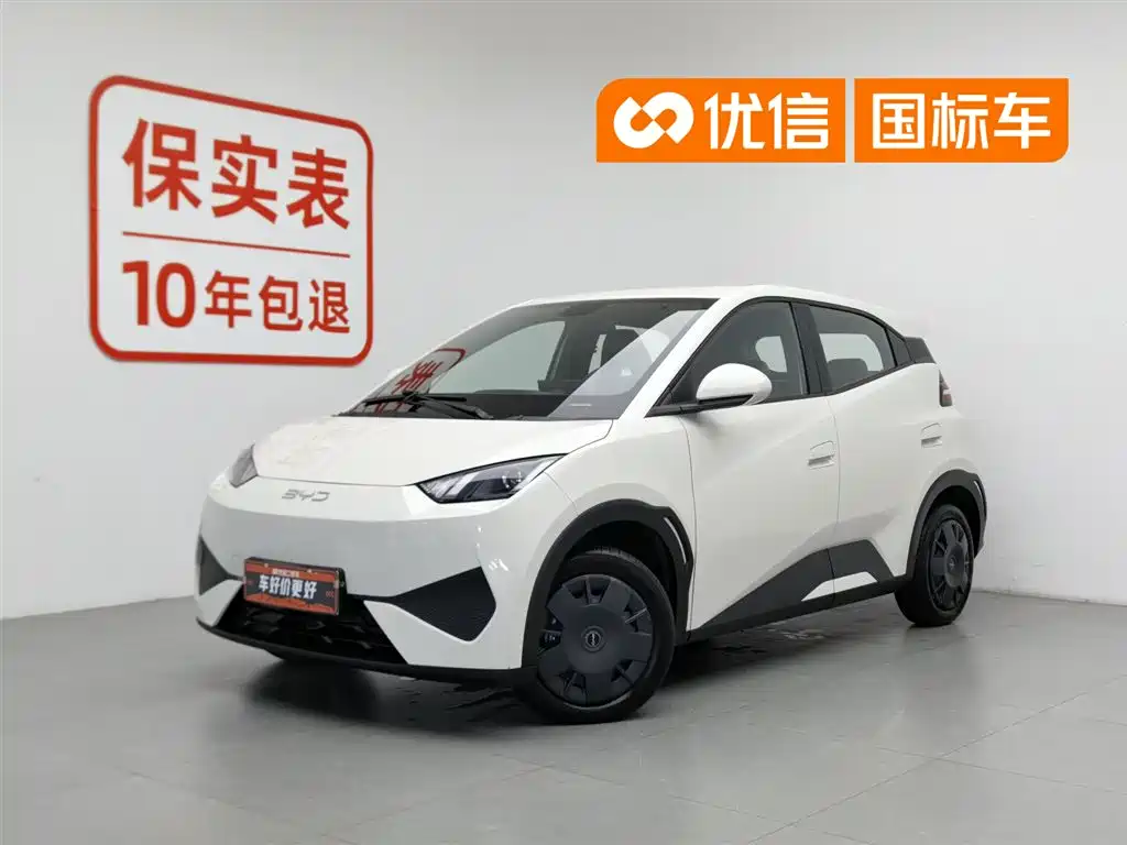 BYD Seagull 2025