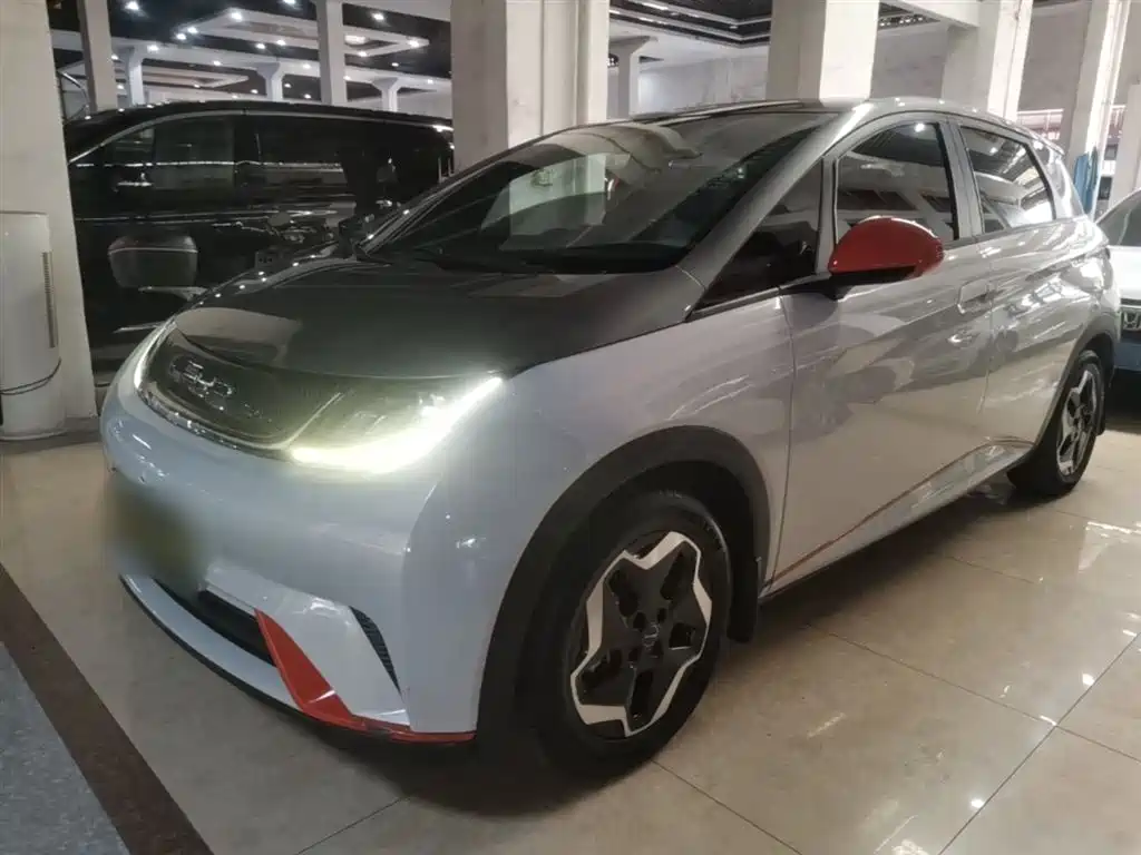 BYD Dolphin 2022