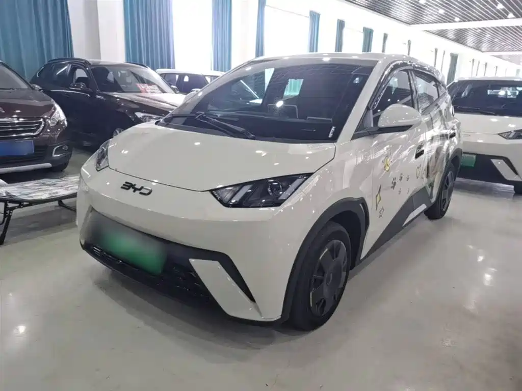 BYD Seagull 2024