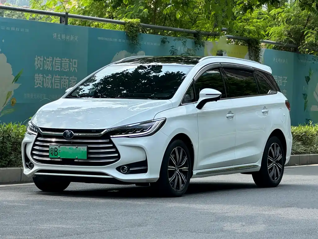 BYD MAX New Energy 2020