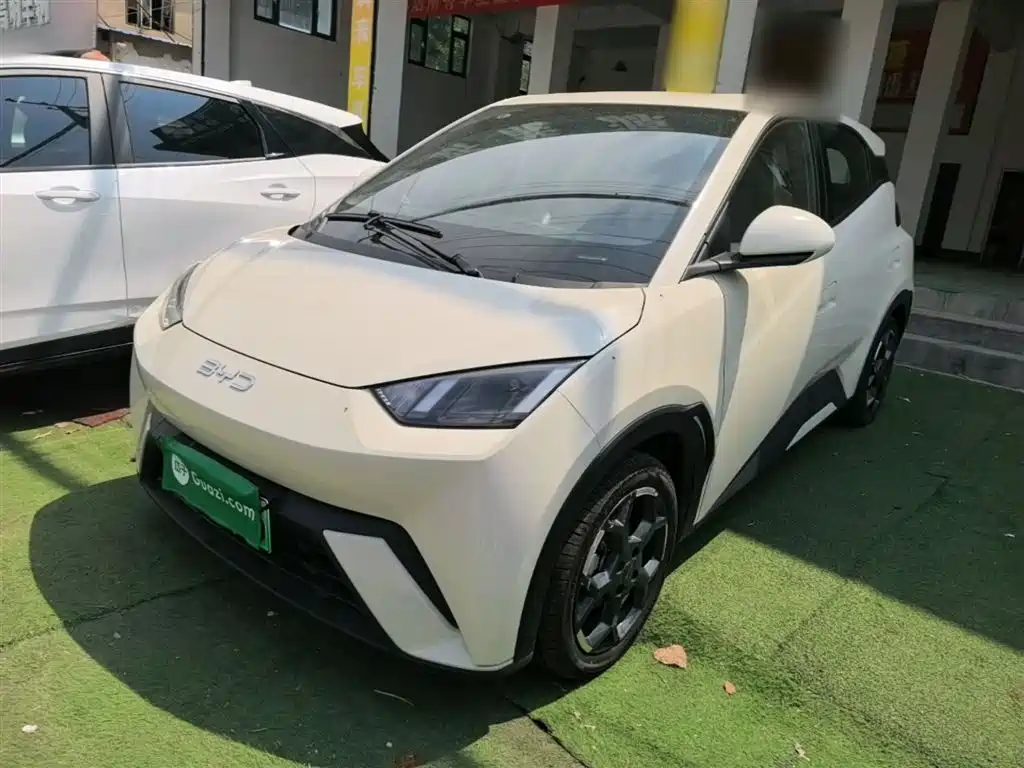 BYD Seagull 2024