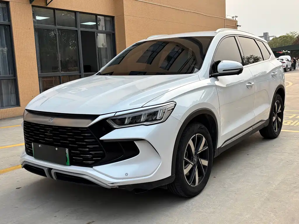 BYD Pro New Energy 2024