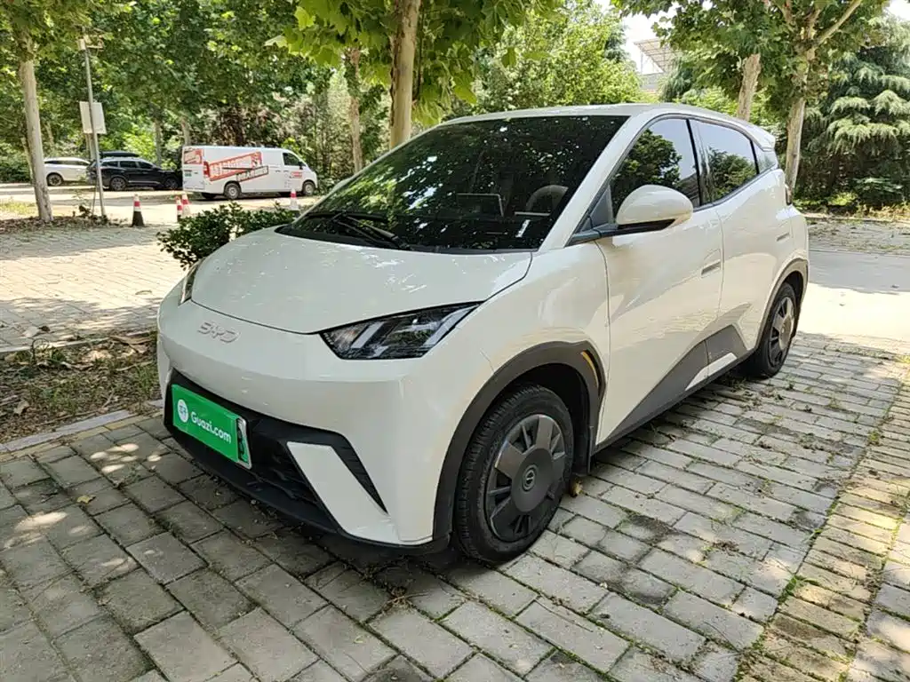 BYD Seagull 2024