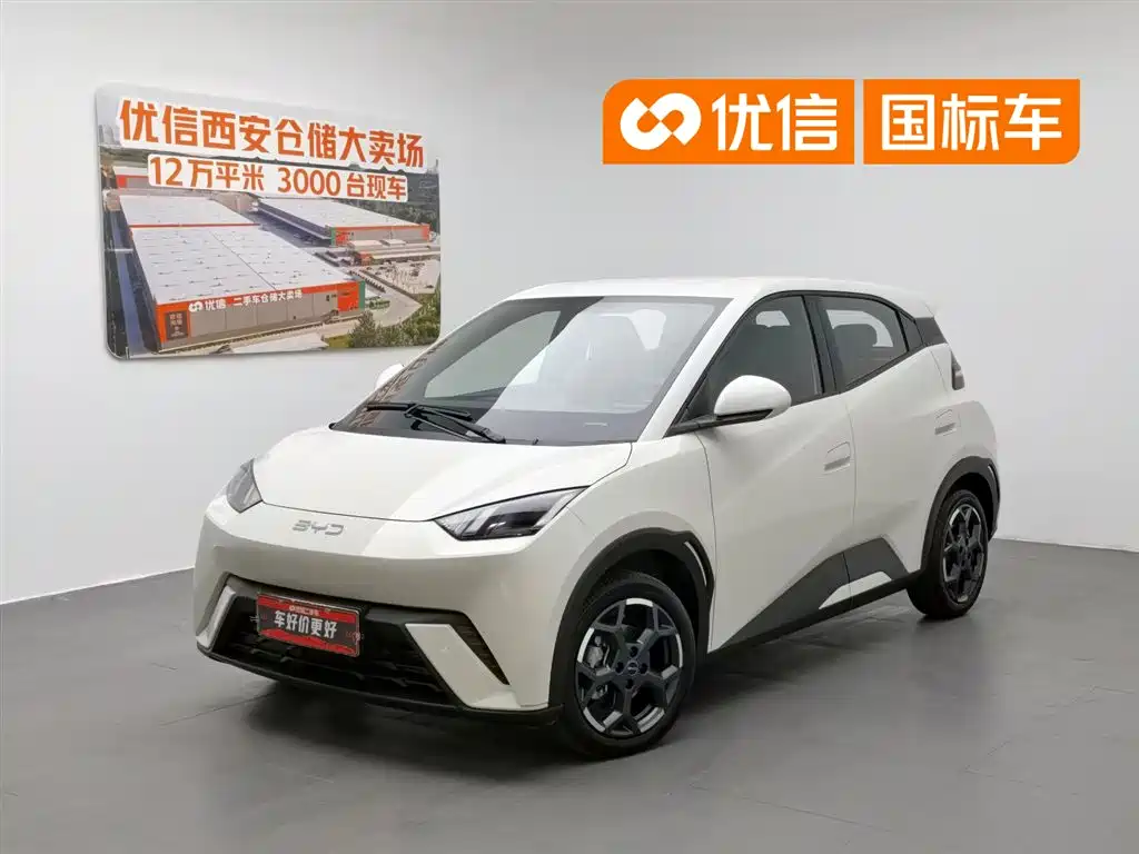 BYD Seagull 2025