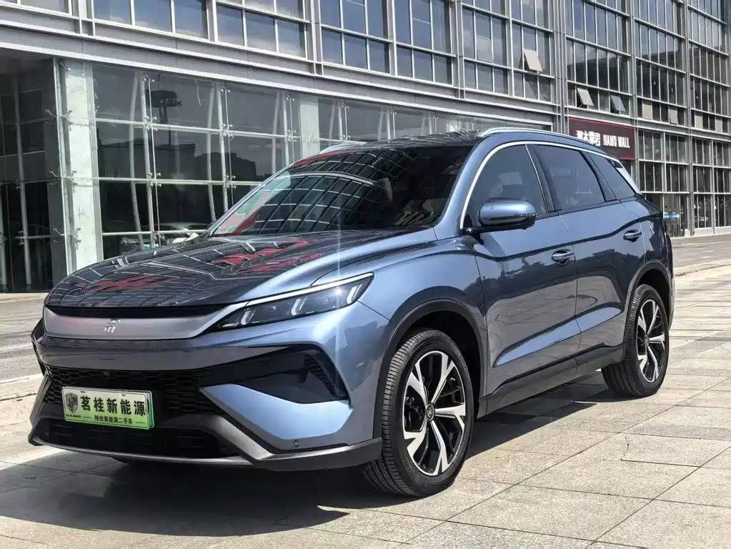 BYD Pro New Energy 2025