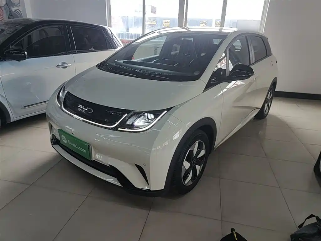 BYD Dolphin 2024