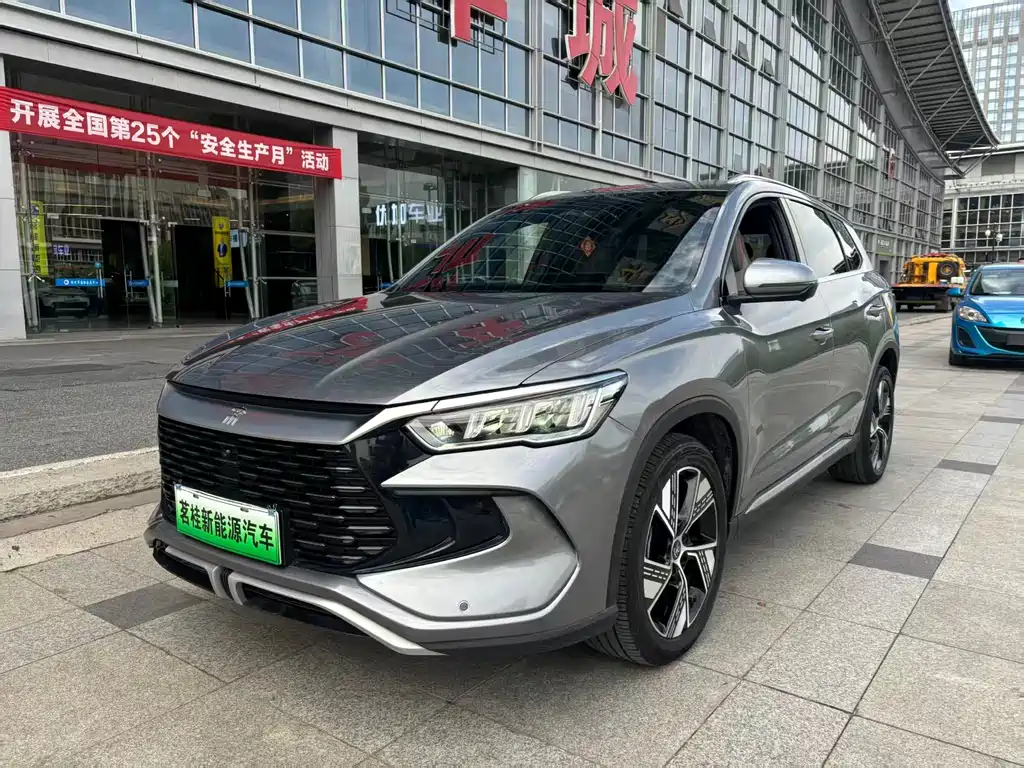 BYD Pro New Energy 2024
