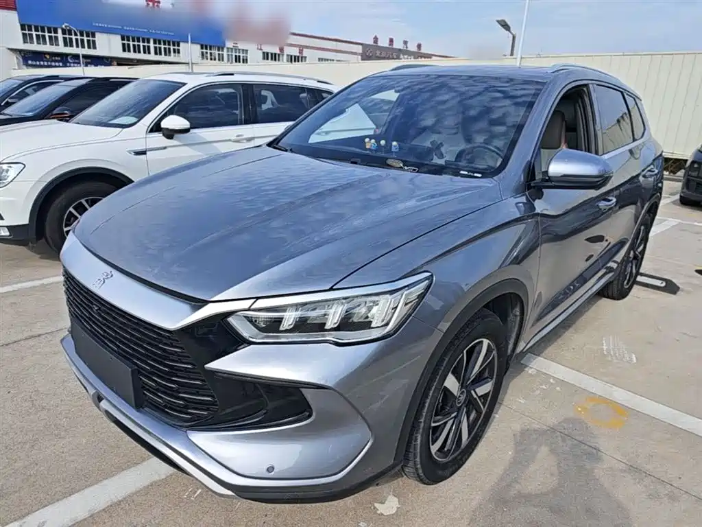 BYD Pro New Energy 2024