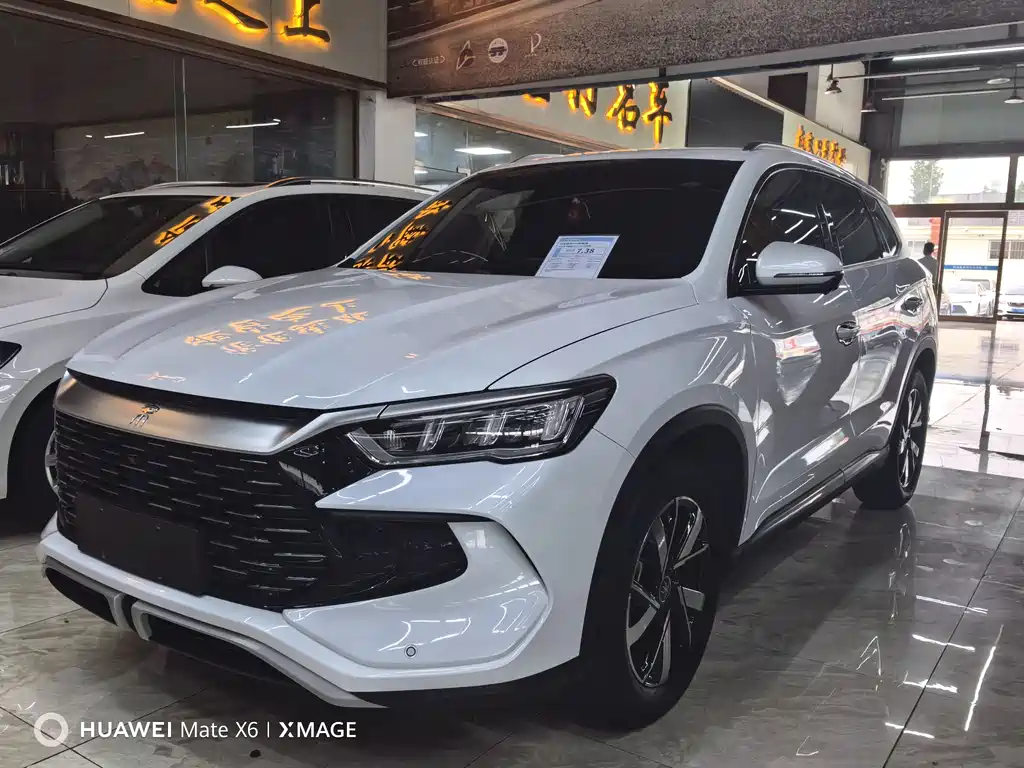 BYD Pro New Energy 2024
