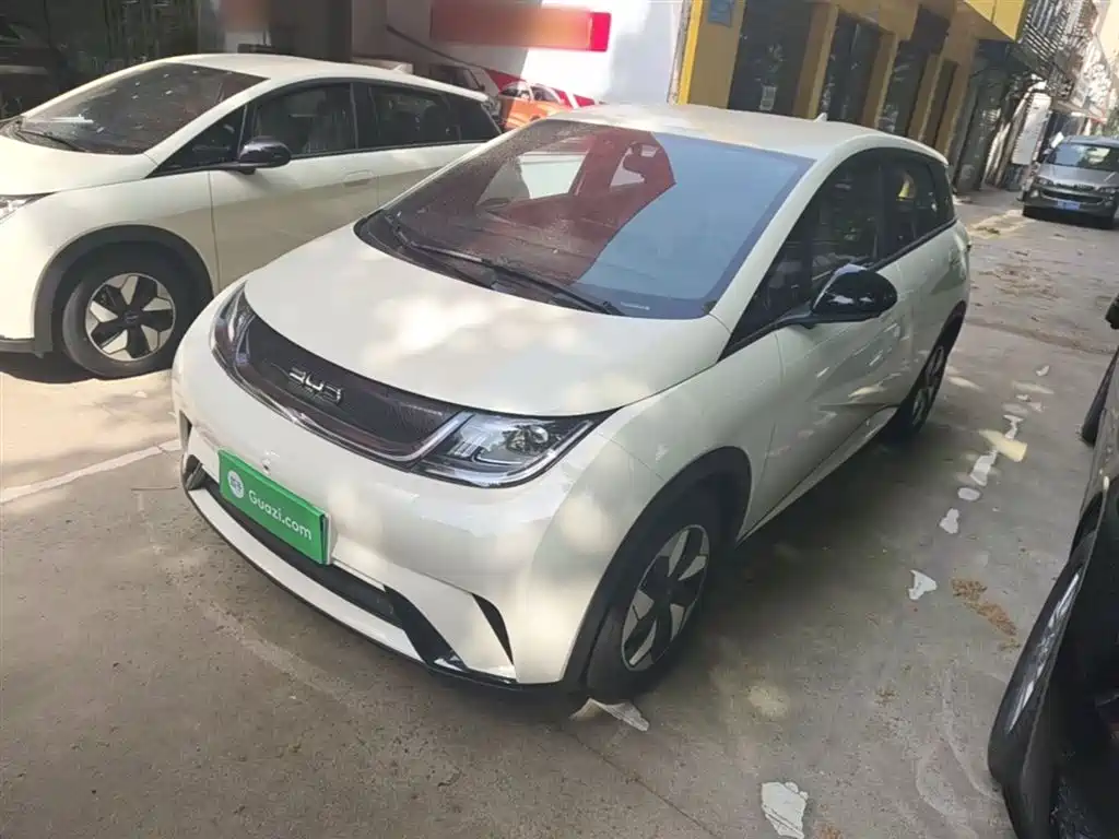 BYD Dolphin 2026