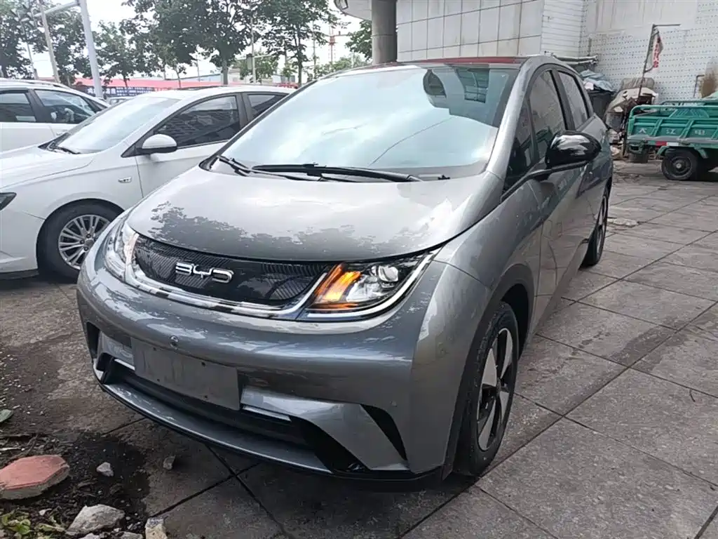 BYD Dolphin 2024