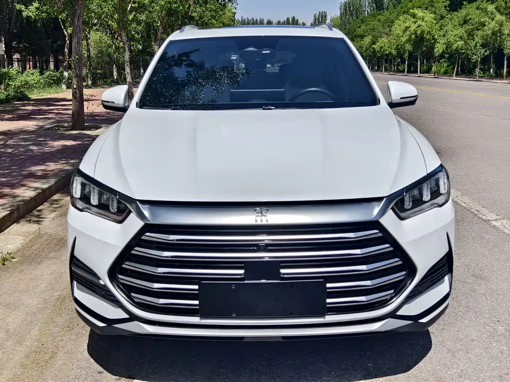 BYD Pro New Energy 2023