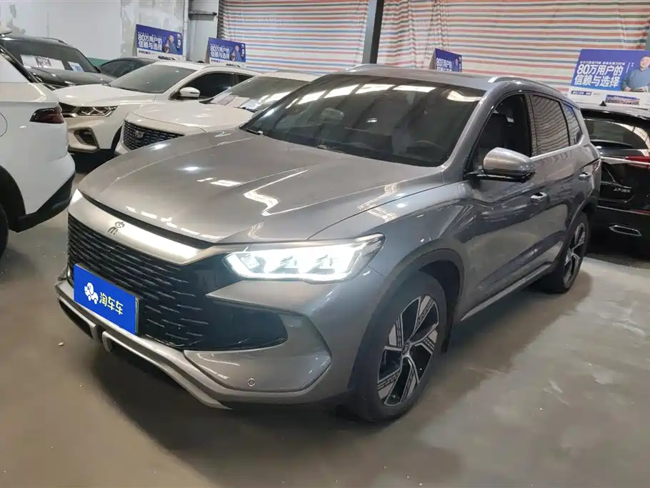 BYD Pro New Energy 2024