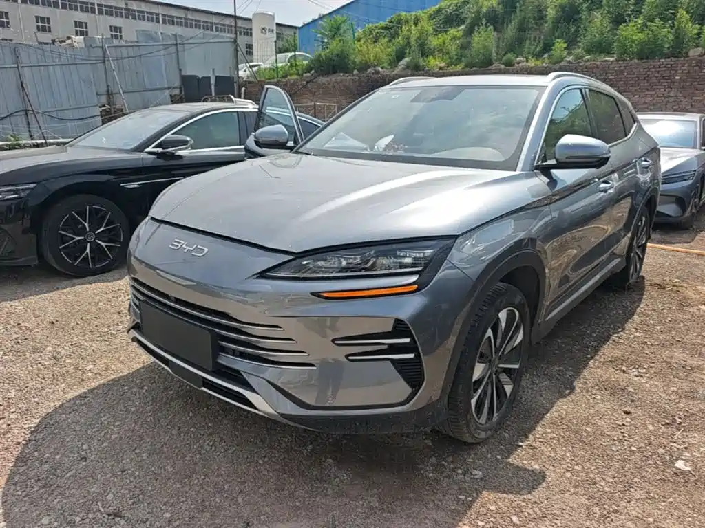 BYD PLUS New Energy 2024