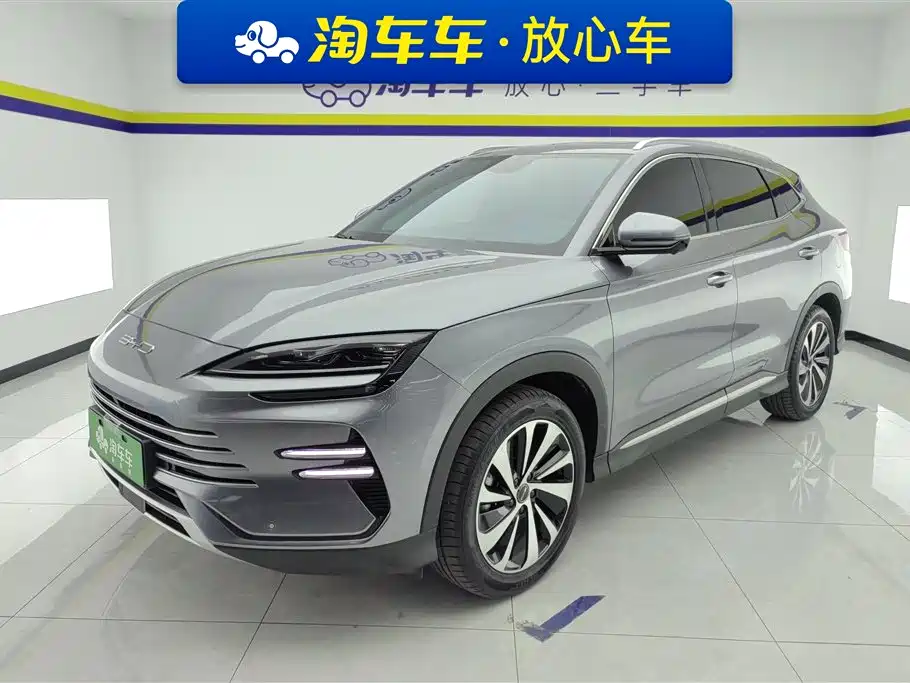 BYD PLUS New Energy 2024
