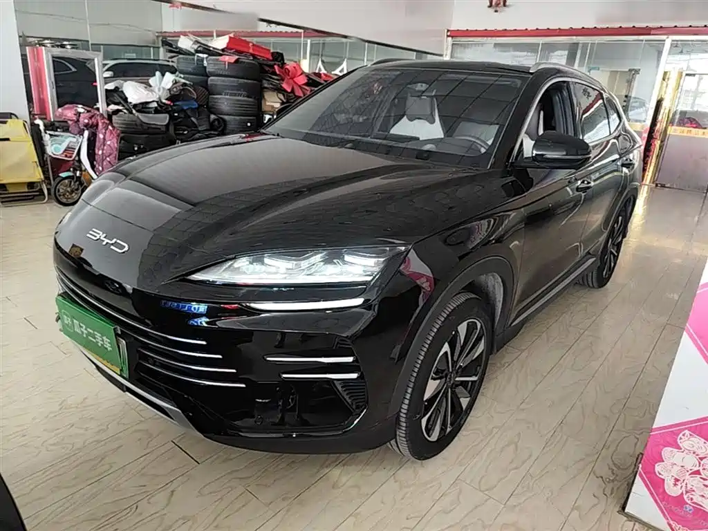 BYD PLUS New Energy 2025
