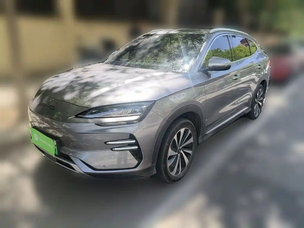 BYD PLUS New Energy 2024