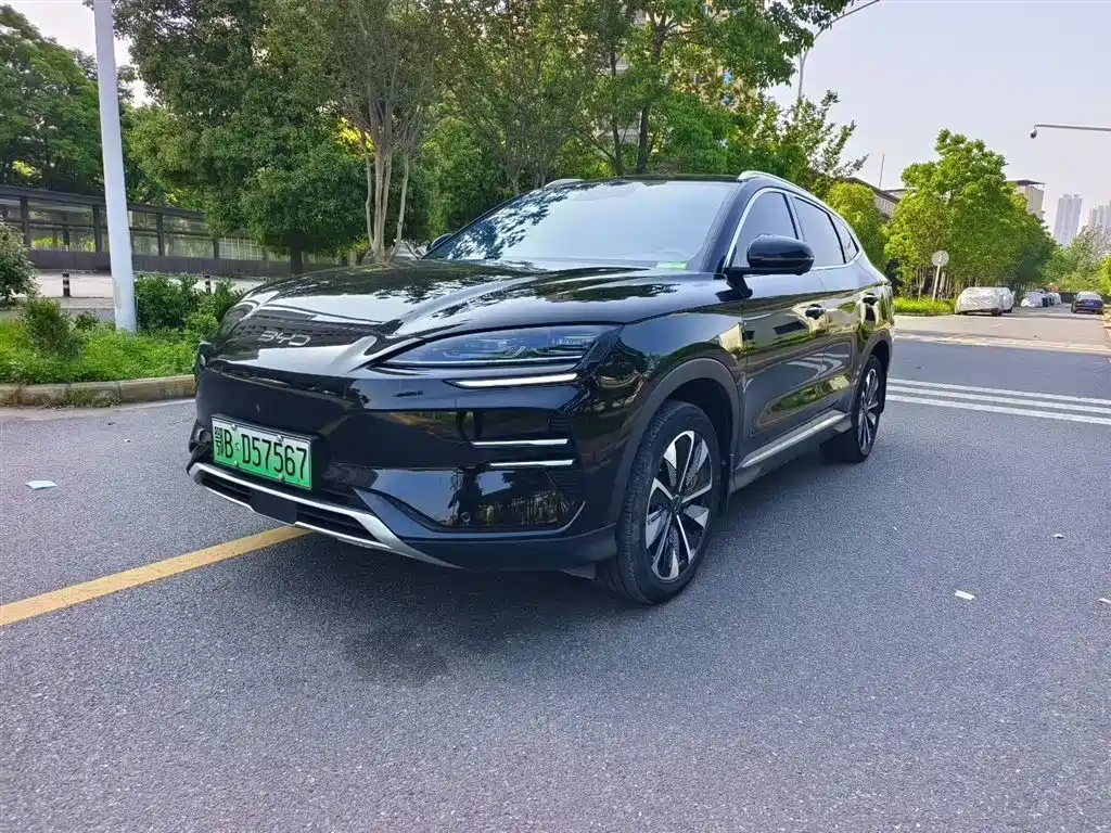 BYD PLUS New Energy 2024