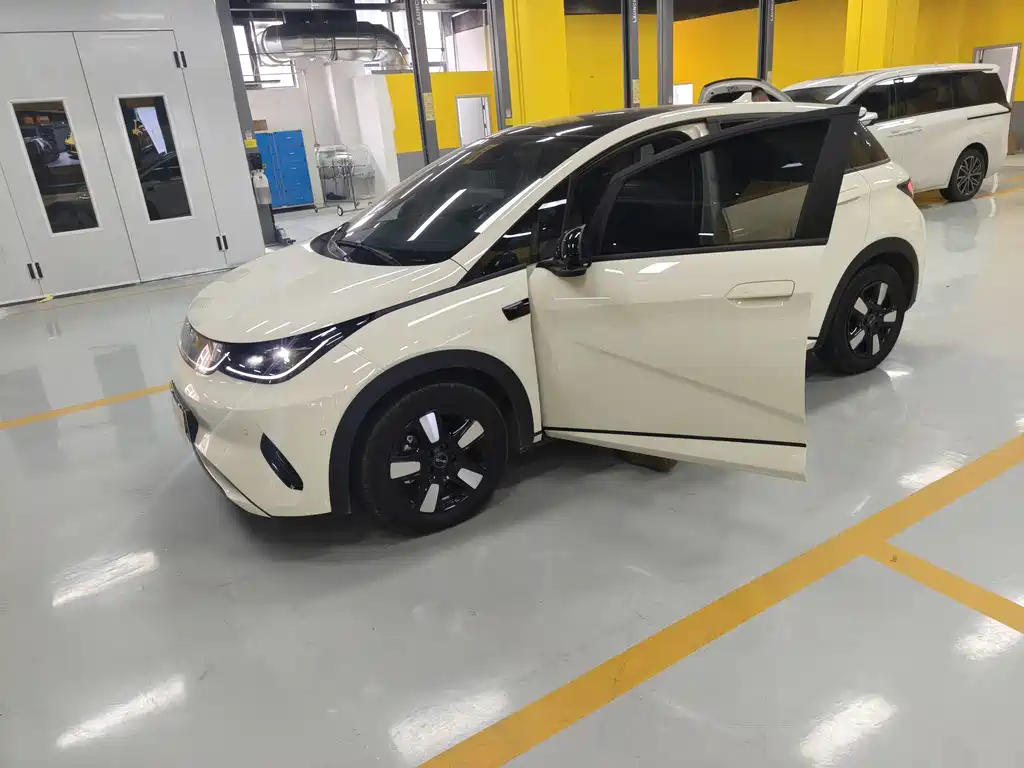 BYD Dolphin 2025