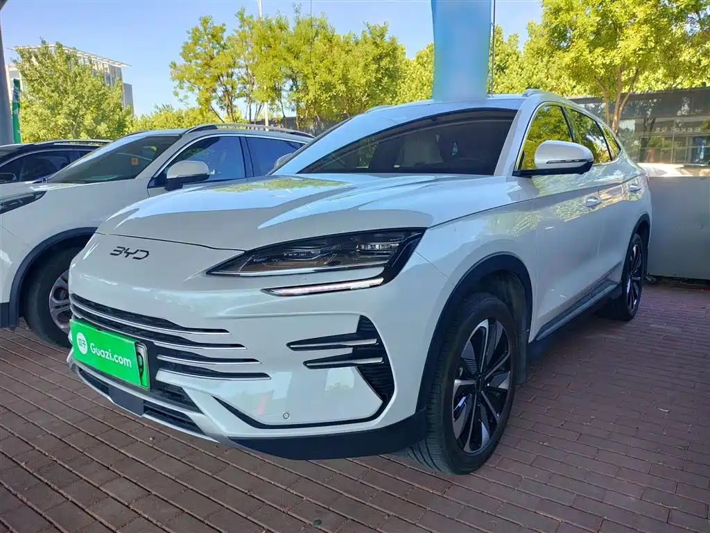 BYD PLUS New Energy 2025