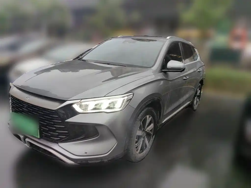 BYD Pro New Energy 2024