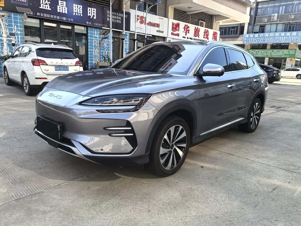 BYD PLUS New Energy 2024