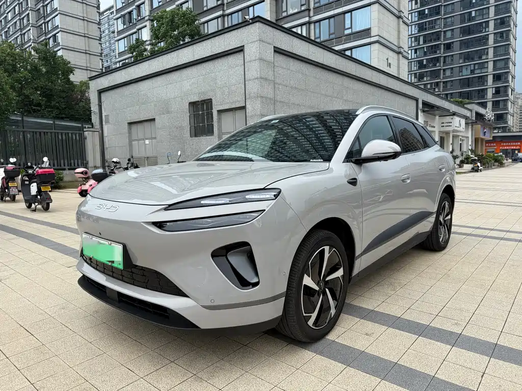 BYD 海狮06 2025