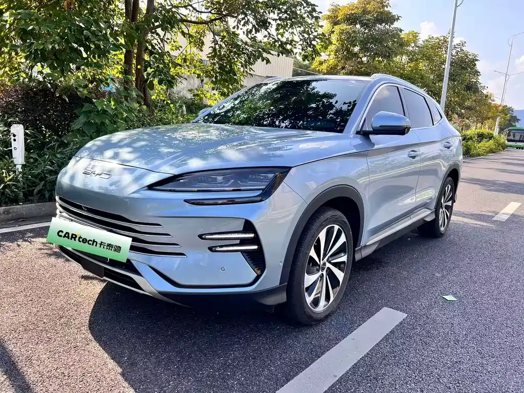 BYD PLUS New Energy 2024