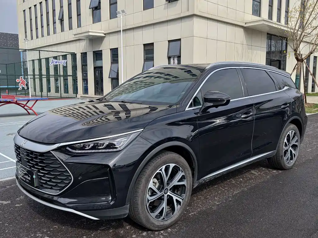 BYD Tang New Energy 2024