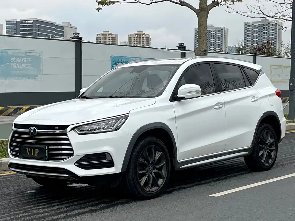 BYD New Energy 2019