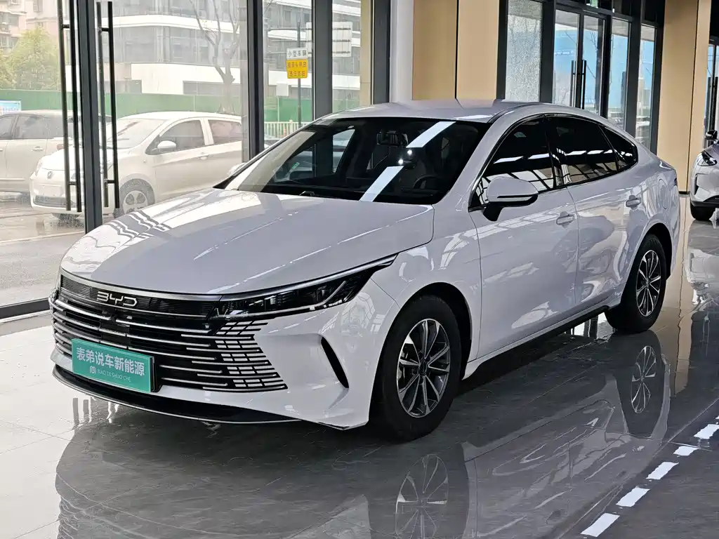 BYD Destroyer 05 2024