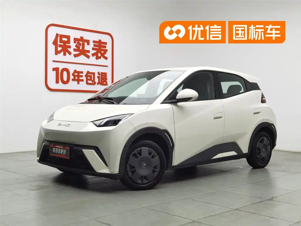 BYD Seagull 2024