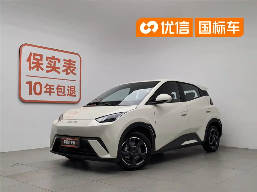 BYD Seagull 2024