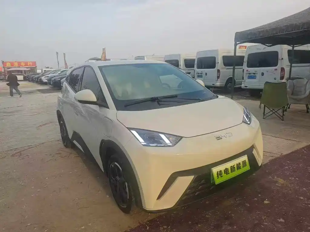 BYD Seagull 2024