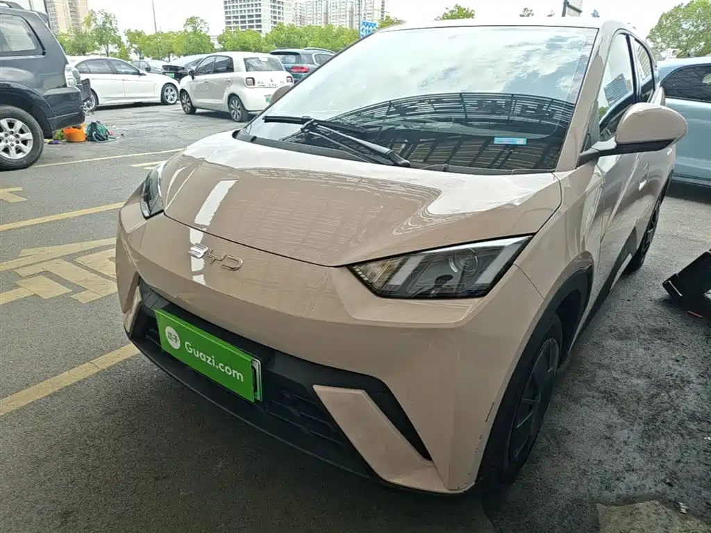 BYD Seagull 2024