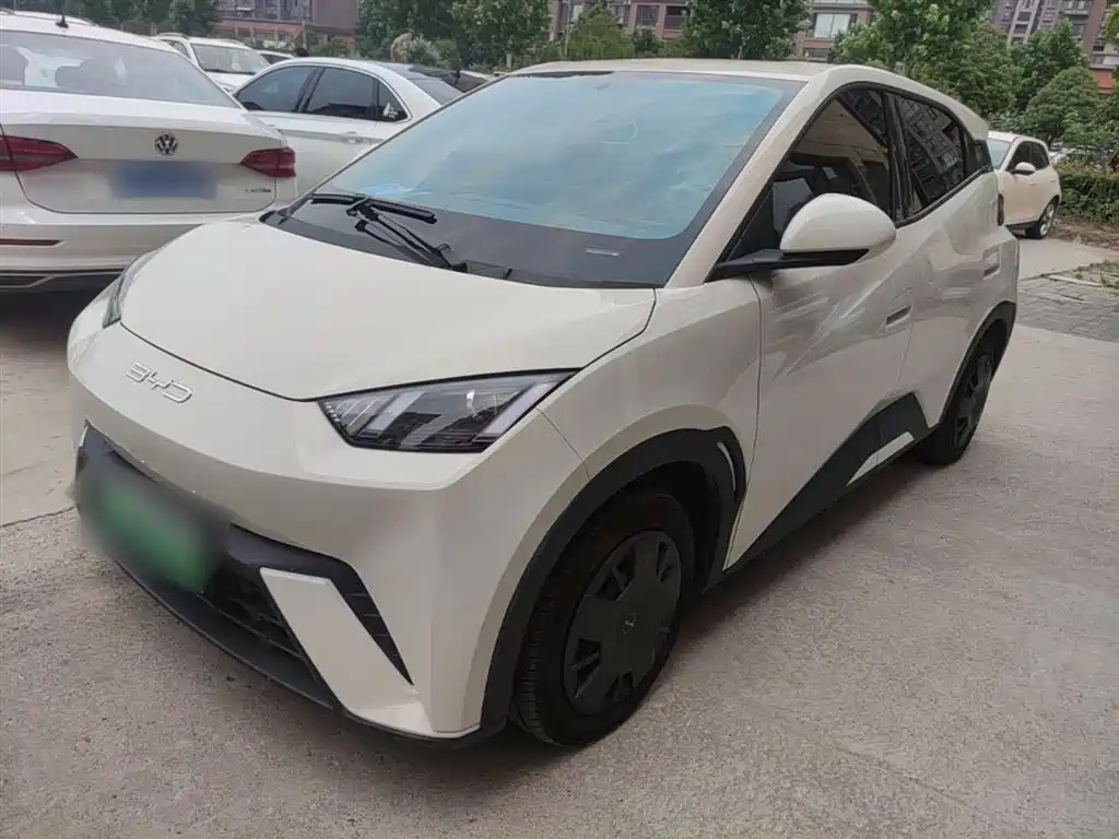 BYD Seagull 2024