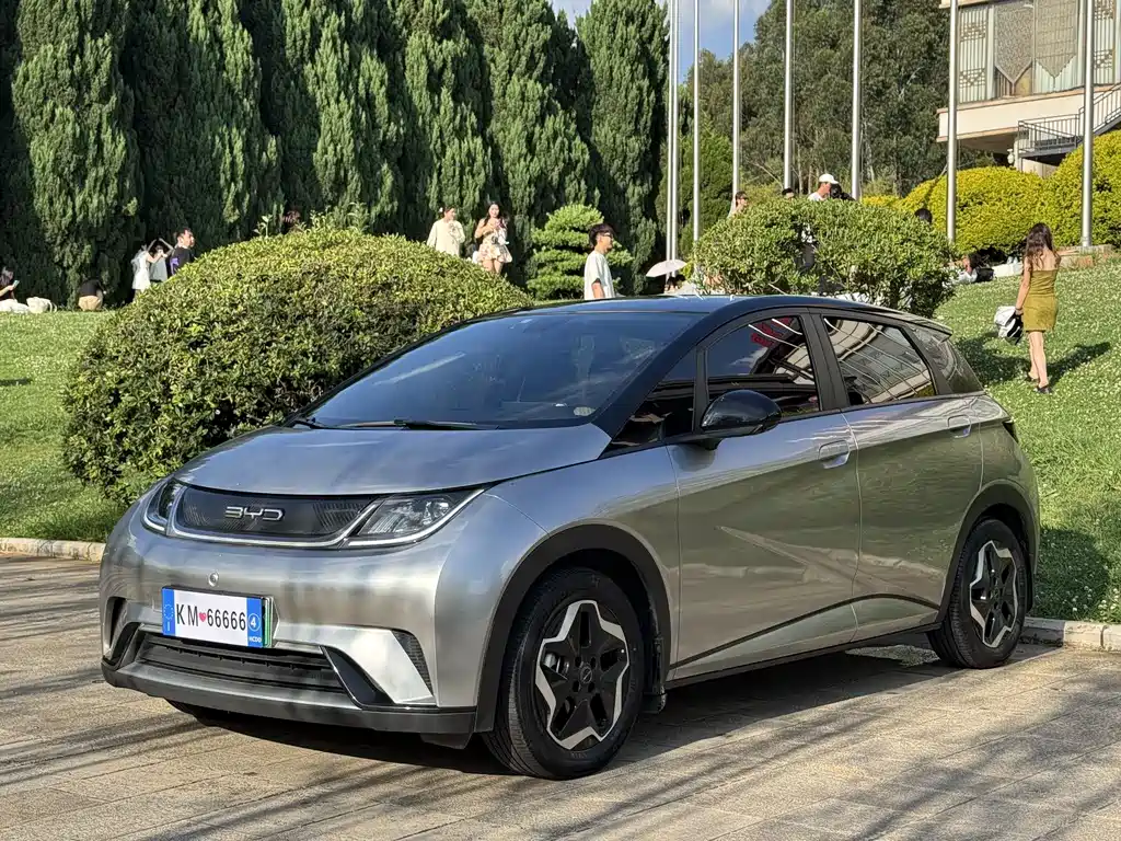 BYD Dolphin 2022